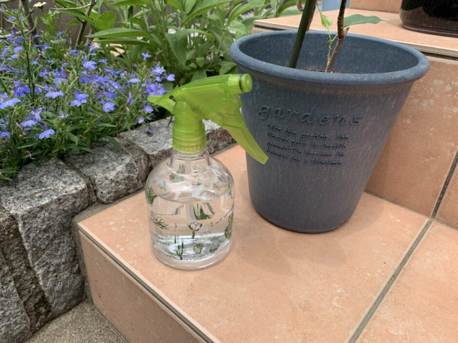 魔女の幸せ魔法 Com 魔女の幸せ魔法 Com